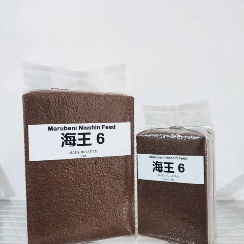 Marubeni Nisshin Feed 6